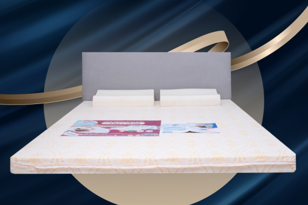 Read more about the article Nệm bông ép là gì? Cấu tạo, giá thành và cách sử dụng