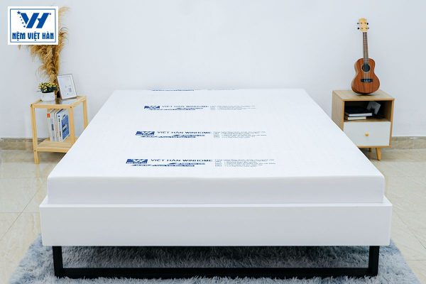 Read more about the article Nệm cao su tổng hợp là gì? Cấu tạo, giá thành và cách sử dụng
