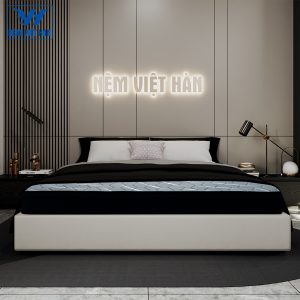 Nệm Bông Ép CARBON Việt Hàn