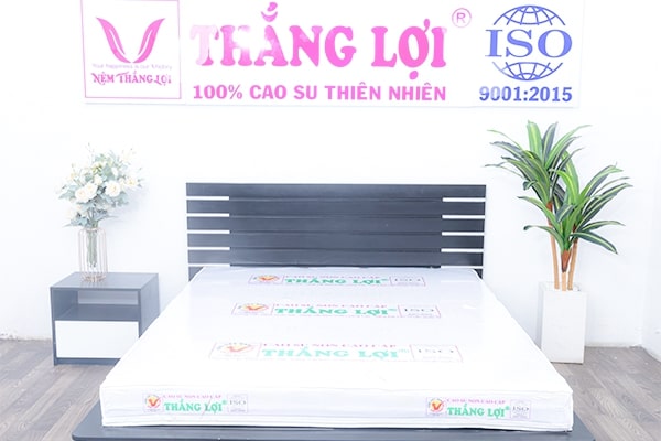 Cửa hàng Nệm Thắng Lợi Thành Phố Thủ Đức