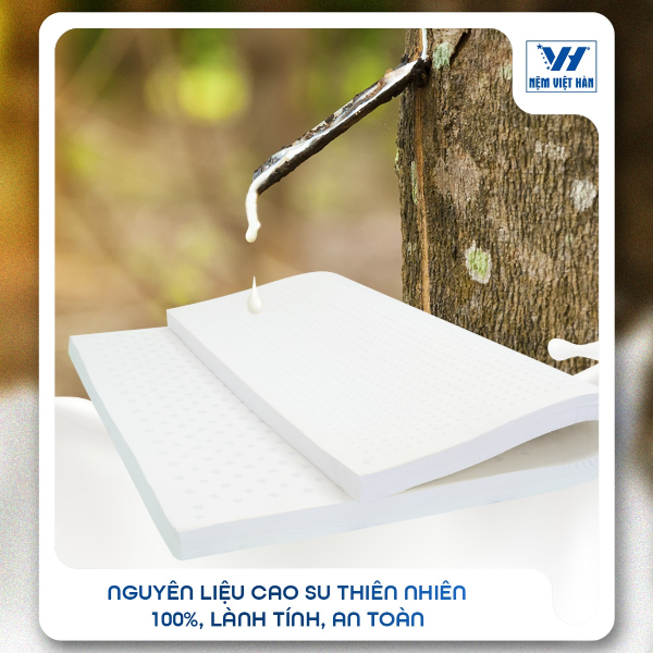 Nệm cao su thiên nhiên là loại nệm được làm từ 100% mủ cao su nguyên chất