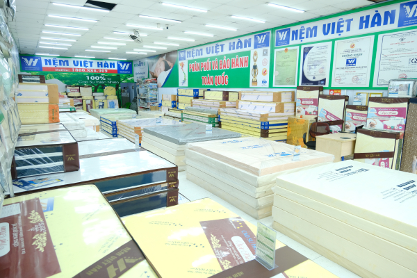 Read more about the article Top 5 Thương Hiệu Nệm Cao Su Tốt Nhất Hiện Nay