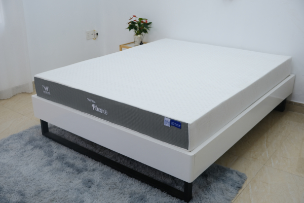 Nệm Foam Việt Hàn Plus+