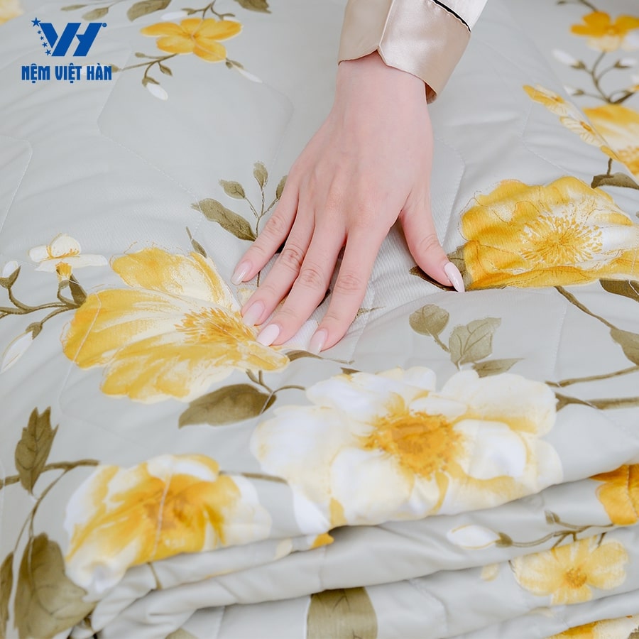 Bộ Ga Mền Việt Hàn Singapore