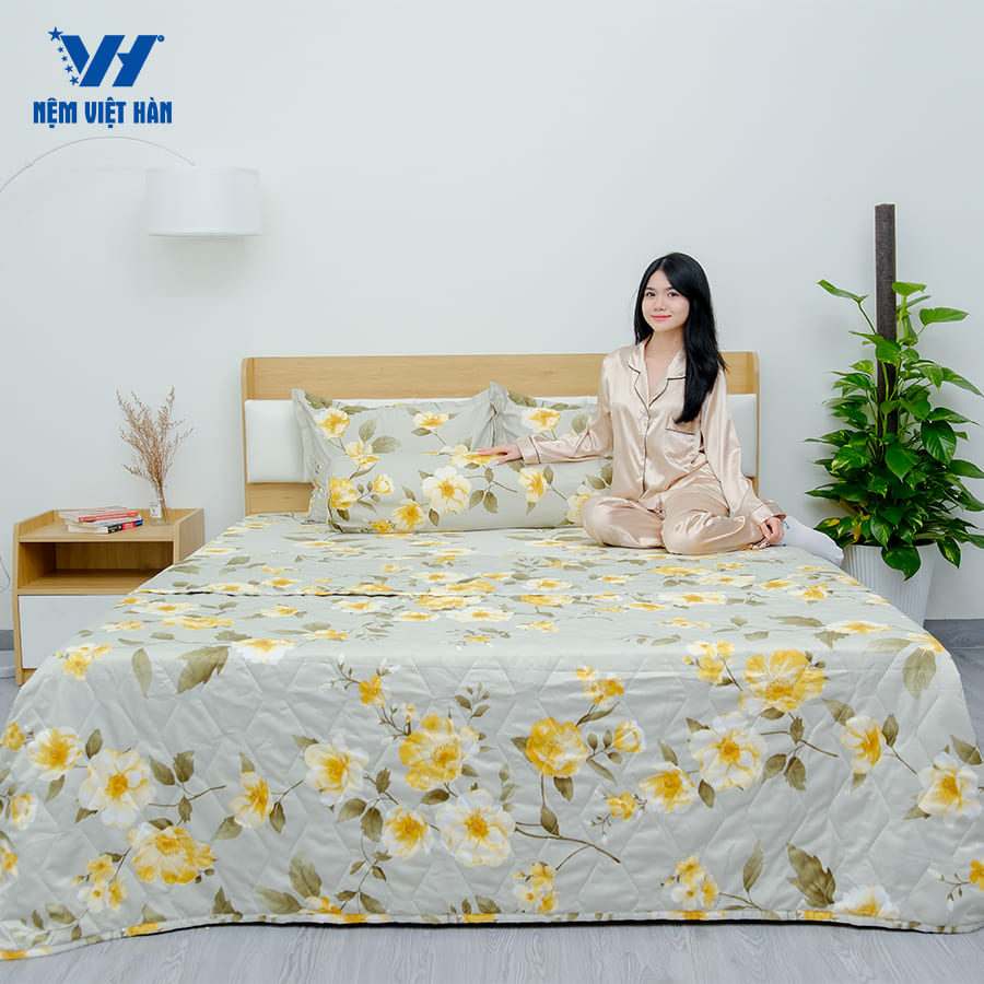 Bộ Ga Mền Việt Hàn Singapore