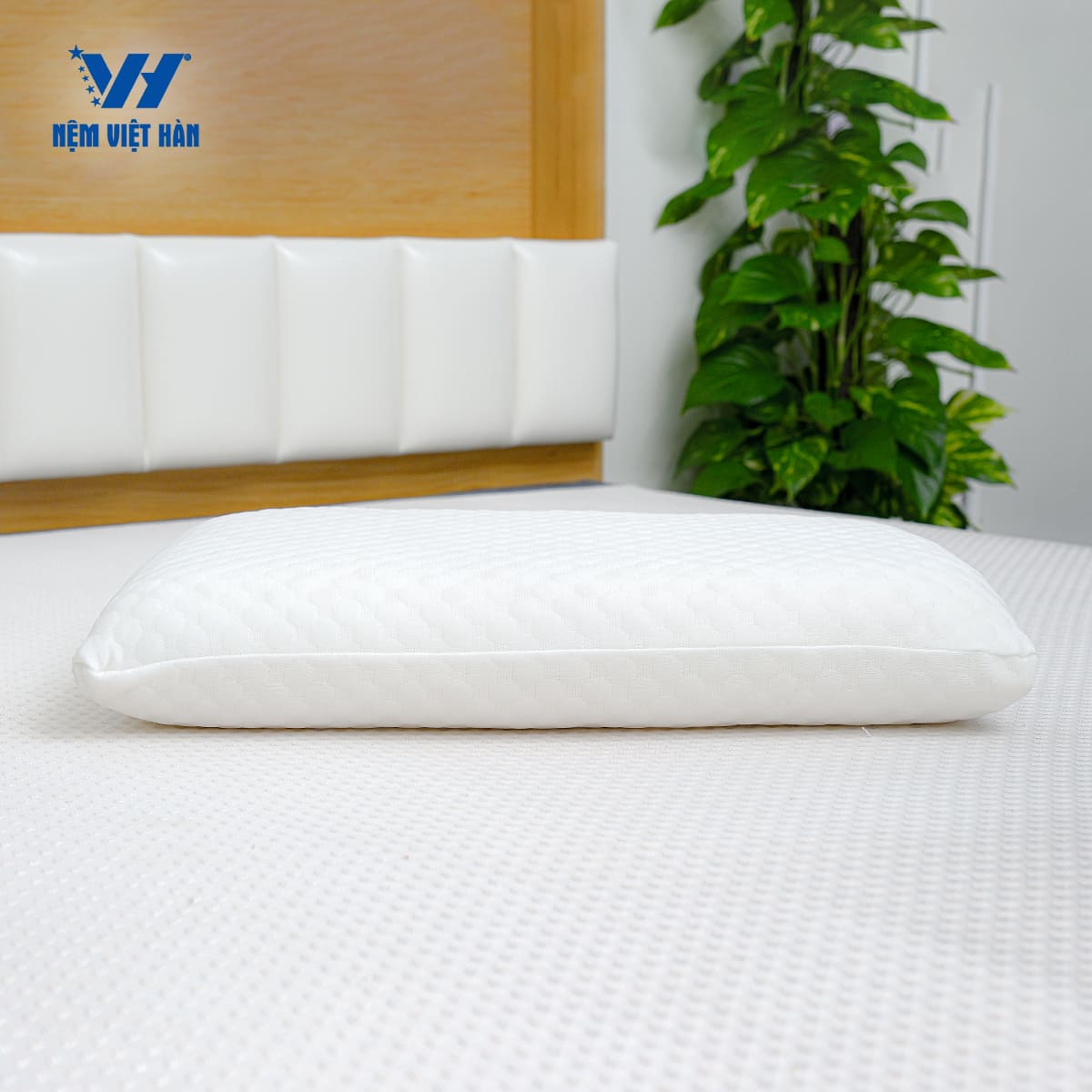 Gối Nằm Cao Su Việt Hàn Winhome